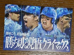 2024横浜DeNAベイスターズ 勝ち切る覚悟 クライマックスシリーズ 配布ポストカード