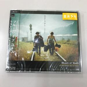 CD 新品未開封【邦楽】長期保存品　ブルーム　オブ　ユース　ラストツアー