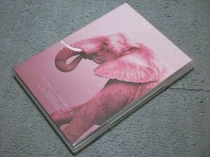 [FC限定DVD/定価\6,000円] 米倉利紀 live 2020”pink ELEPHANT”