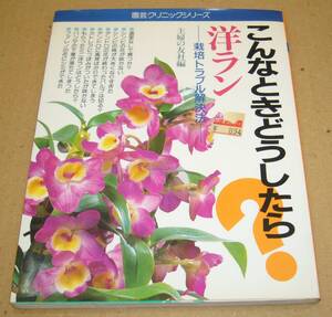 洋ラン　こんなときどうしたら？　栽培トラブル解決法 （園芸クリニックシリーズ　１） 主婦の友社／編