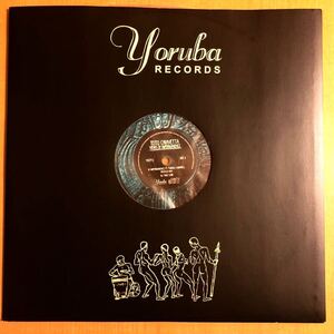 美品 TOTO CHIAVETTA VIEWS OF IMPERMANENCE 12INCH OSUNLADE FRANCOIS K JOE CLAUSSELL THEO PARRISH LARRY HEARD RON TRENT AME DIXON