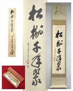 【千寿】大徳寺派 興臨院 大橋香林 松寿千年翠 紙本 a191◆箱 茶道具 古美術 掛軸 茶掛 100016917