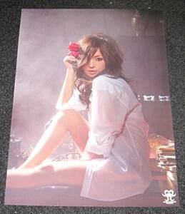 浜崎あゆみ [ARENA TOUR 2006] 限定ポスター A