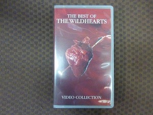 M364●WILDHEARTS「ザ・ベスト・オブ・ワイルドハーツ」VHSビデオ