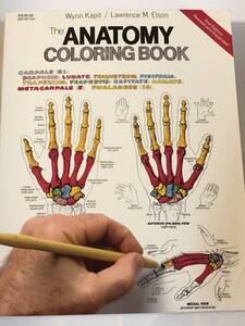 即決　洋書　カラースケッチ 解剖学 THE ANATOMY COLORING BOOK