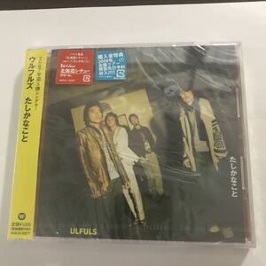 未開封CD たしかなこと ウルフルズ 4943674075577 WARNER MUSIC JAPAN ハウス食品「北海道シチュー」CMソング トータス松本