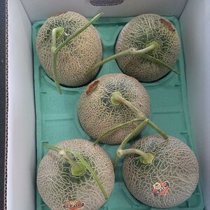 即決！北海道産 夕張メロン 良品 4玉～5玉 約8㎏