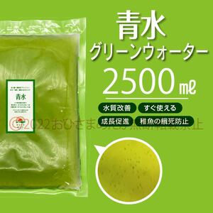 初心者からプロ【青水　グリーンウォーター　2500ml】メダカ　めだか卵　金魚　熱帯魚　ミジンコ　ゾウリムシ　ミドリムシ　PSB　どうぞ