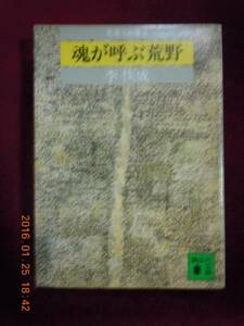 「魂が呼ぶ荒野（見果てぬ夢5）」李恢成　講談社文庫