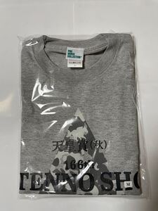 第１６６回　天皇賞（秋）　出走馬Ｔシャツ　イクイノックス　１着　パンサラッサ　２着　ダノンベルーガ　３着　サイズ　Ｍ　新品　未開封