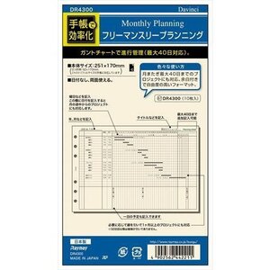 メール便発送 レイメイ藤井 ダヴィンチ リフィル 聖書サイズ フリーマンスリープランニング DR4300