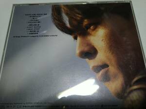 ☆CD　山根康弘　Destiny