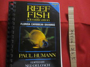 ☆ＲＥＥＦ　　ＦＩＳＨ　　Ｉｄｅｎｔｉｆｉｃａｔｉｏｎ　　ＦＬＯＲＩＤＡ ＣＡＲＩＢＢＥＡＮ ＢＡＨＡＭＡＳ 　 【洋書・海洋生物】