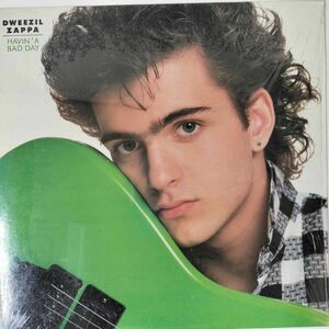 40366 Dweezil Zappa/Havin