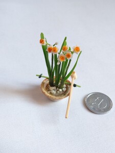 mame 水仙 鉢 豆鉢 蹲 ミニチュア ドールハウス リカちゃん シルバニア リーメント 和風 Narcissus miniature flower