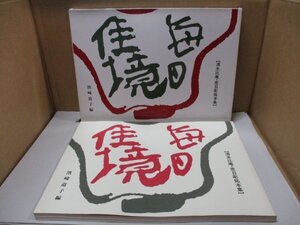 図録 清水比庵 『毎日佳境』 窓日彫拓本集 ケース入り 詩、書、画三芸、今良寛、1997年発行