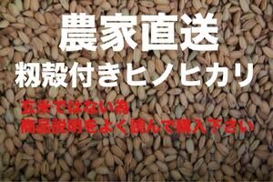 2月から値上げします。籾殻付き　ヒノヒカリ　籾摺り機が壊れた為そのまま出品します。　　10キロ　　No4