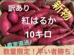 新物 紅はるか 10キロ 農家直送