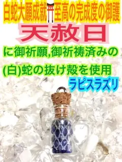 厄除け✨邪気払い✨小瓶✨チャーム✨蛇の抜け殻✨白蛇のお守り【天赦日ご祈祷済み】A