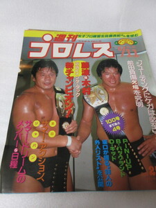 「週刊プロレス　NO.96　1985．6／11」藤波＆木村WWFインタタッグ　猪木対アンドレ　ベースボールマガジン社 