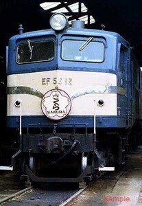 【鉄道写真】EF58 12『さくら』 [9005393]