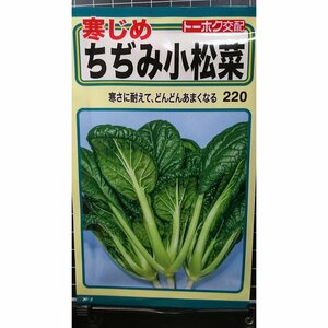 ３袋セット ちぢみ 小松菜 寒じめ 種 郵便は送料無料 小松菜