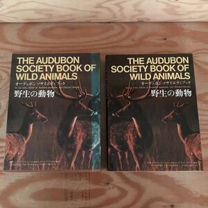 K2FGG2-211209 レア［野生の動物 オーデュボンソサイエティブック レス・ライン 旺文社］かじり屋の群れ 古代からの系譜