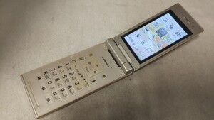 DG4575 docomo FOMA P-06C Panasonic パナソニック ガラケー ケータイ 折畳式 簡易動作確認＆簡易清掃＆初期化OK 判定○ 送料無料　