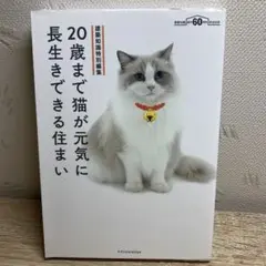 20歳まで猫が元気に長生きできる住まい