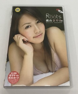 磯山さやか Roots ルーツ DVD 中古美品