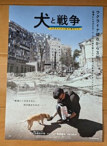 ☆☆映画チラシ「犬と戦争」【2025】