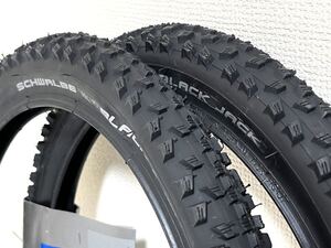 【送料無料】Schwalbe Black Jack 16×1.90 2本セット 《16インチ/ETRTO305》