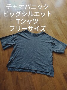 チャオパニックティピー ビッグシルエット ボーダー Tシャツ グレー