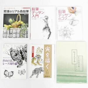 絵画 等 書籍 まとめて 6冊 セット 原田シンジの世界 技法と作品 驚嘆のリアル色鉛筆 / 鉛筆 デッサンのコツ / 水墨画 / 切り絵 他 Kキ00