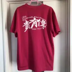 男性でも女性でも‼️レア‼️洞戸　キウイマラソン　2014 Tシャツ　ほらど