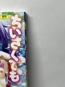 ちいさくてもいいじゃない！　冬野みかん　初版　帯付き　即決　同梱可能