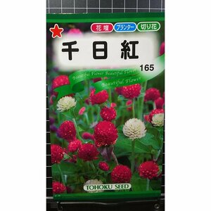 ３袋セット 千日紅 せんにちこう 種 郵便は送料無料