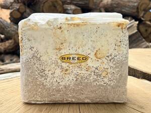 BREED ブナ100% 菌糸ブロック　3500cc　1個（ブリード　高性能・高品質　菌糸ビン　菌糸瓶　菌床）