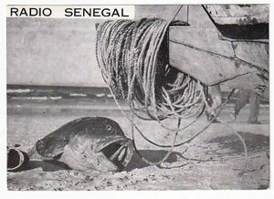 ベリカード　Radio Senegal １９６６年　ＢＣＬ