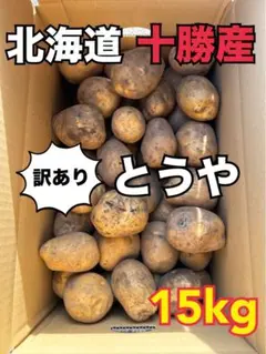 【訳あり】北海道 十勝産 じゃがいも とうや15kg