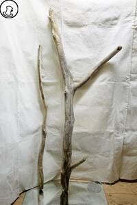 SEASIDEinterior☆曲者流木の2本セット,Cool driftwood for decorating 91