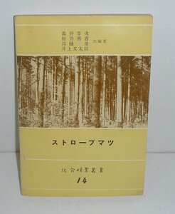 植物：松1959『ストローブマツ／北方林業叢書14』 亀井専次・松井善喜・高桶勇・井上又太郎 共編著