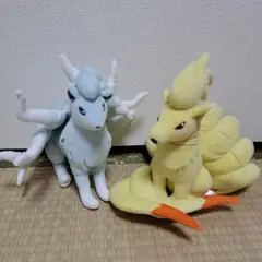 超希少！アローラキュウコンとカントーキュウコンのぬいぐるみ