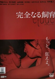 中古DVD　完全なる飼育 etude