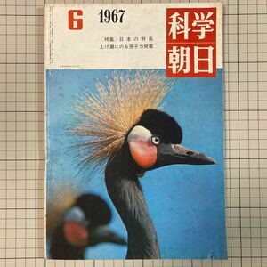 科学朝日 1967(昭和42)年6月号 日本の野鳥 上げ潮にのる原子力発電