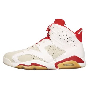 NIKE ナイキ AIR JORDAN 6 RETRO ALTERNATE エアジョーダン6 レトロ オルタネイト ハイカットスニーカー 28.5cm/US10.5 384664-113