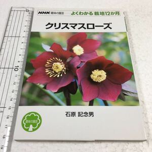 即決　未読未使用品　全国送料無料♪　クリスマスローズ (NHK趣味の園芸 よくわかる栽培12か月)　JAN- 9784140401675