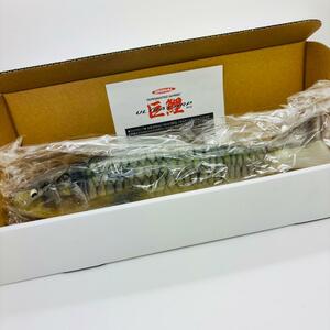 新品 SIGNAL シグナル ウルトラカープ Ver.2 ULTRA CARP 巨鯉 湖北スペシャル KOHOKU SP 生カラー デカバス アカメ 日本製 ルアー