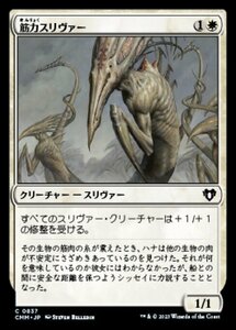 MTG ■白/日本語版■ 《筋力スリヴァー/Sinew Sliver》統率者マスターズ CMM