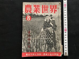 i□*　 農業世界　夏季特大号　第48巻第8号　昭和28年8月1日発行　1点　 /A08